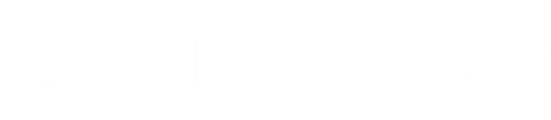 LLC Manager