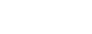LLC Starten